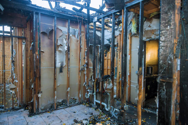 Professional Fire Damage Removal technician working in Bull Shoals, AR
